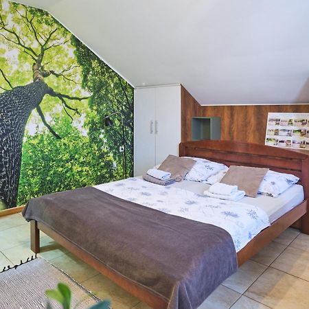 Zupan Apartmani Soko Banja Esterno foto